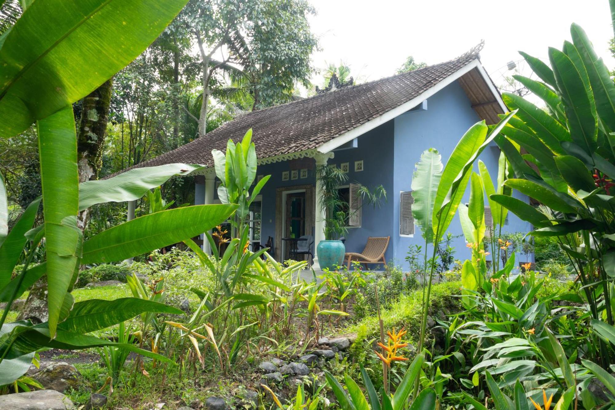 Darmada Eco Resort Sidemen  Εξωτερικό φωτογραφία